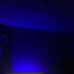 Meet your Posher, Bailey